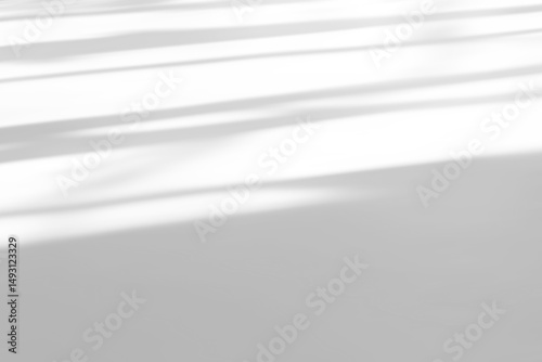 shadow overlay effects of realistic abstract natural tree leaves shadow on floor background,Summer sunlight and shadow overlay effect,shadow for photo interior backdrop studio mockup