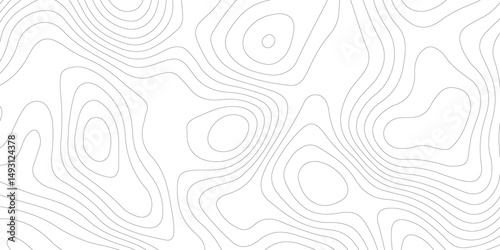 Abstract Topographic map background with wave line. White wave paper curved reliefs abstract background. Vector illustration. wave Line topography map contour background.