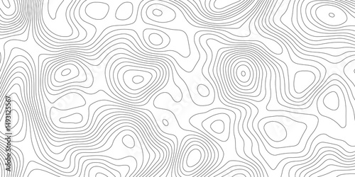 Abstract Topographic map background with wave line. White wave paper curved reliefs abstract background. Vector illustration. wave Line topography map contour background.