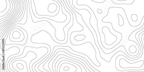Abstract Topographic map background with wave line. White wave paper curved reliefs abstract background. Vector illustration. wave Line topography map contour background.