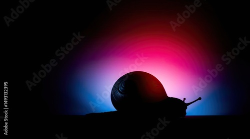 Silhouette of a snail against vibrant red and blue gradient background