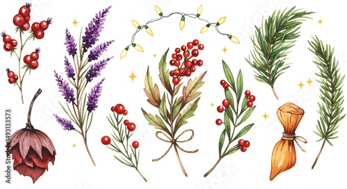 Winter Botanical Illustration with Berries and Herbs