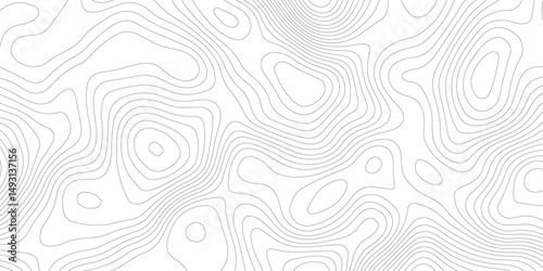 Abstract Topographic map background with wave line. White wave paper curved reliefs abstract background. Vector illustration. wave Line topography map contour background.