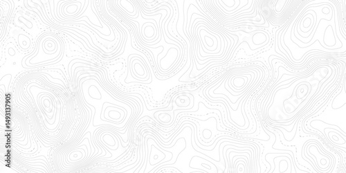 Abstract Topographic map background with wave line. White wave paper curved reliefs abstract background. Vector illustration. wave Line topography map contour background.