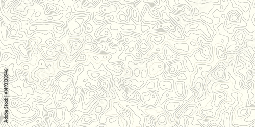 Abstract geometric vector illustration wavy black and white contour line topographic design.