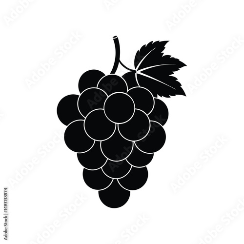 grape vector illustration