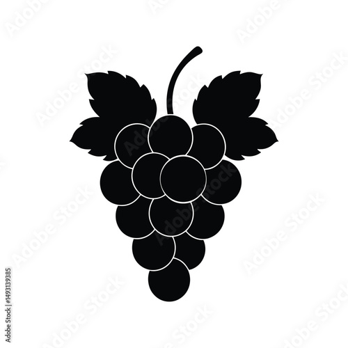 grape vector illustration