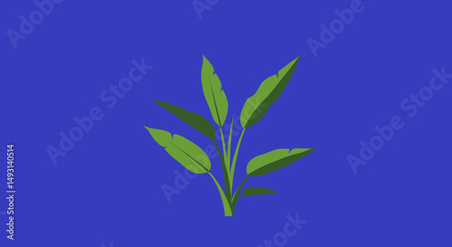 Simple Green Plant Illustration On Blue Background