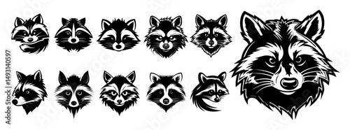 raccoon head vector collection in black and white outline style