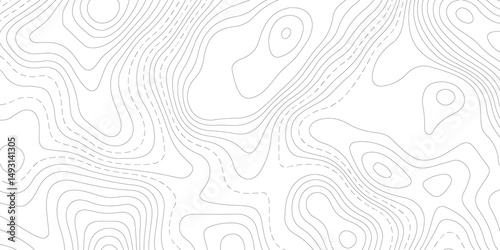 Abstract Topographic map background with wave line. White wave paper curved reliefs abstract background. Vector illustration. wave Line topography map contour background.