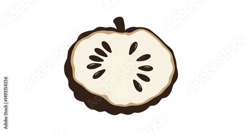 Cross Section Of A Fruit Slice