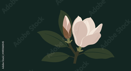 Pastel Magnolia Flower Illustration