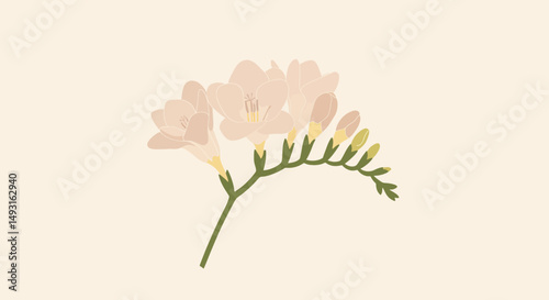 Delicate Pink Flower Illustration