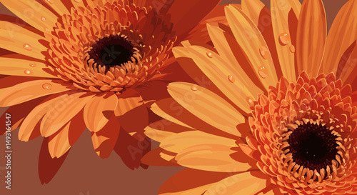 Closeup Orange Gerbera Flowers On Brown Background