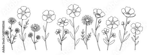 wildflowers hand drawn botanical sketch silhouette vector