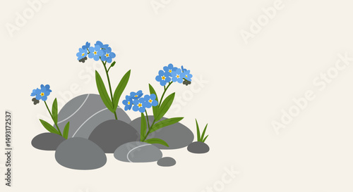 Blue Flowers Growing Among Gray Rocks
