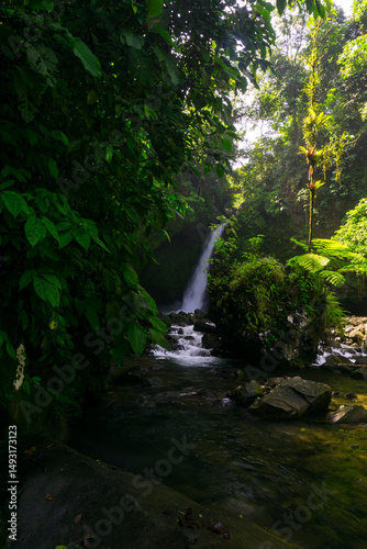 Natural Beauty of Tropical Green Forests with Mountains and Waterfalls in Indonesia