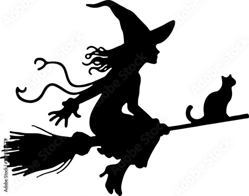 Witch Flying with Cat Silhouette