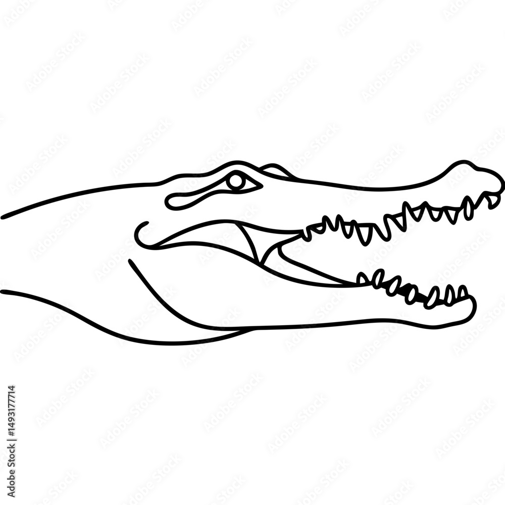 Obraz premium Crocodile head line drawing, black and white, for educational purposes