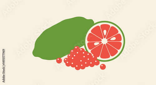 Colorful Citrus Fruit Illustration