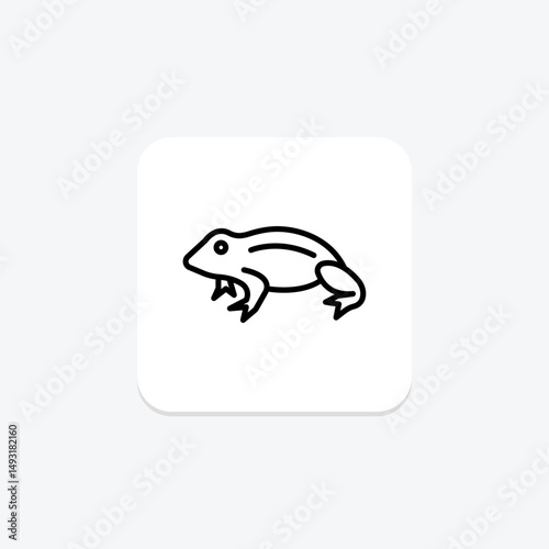 African Dwarf Frog, vector, pixel perfect, illustrator file