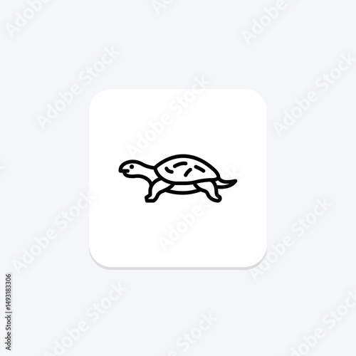 Musk Turtle, vector, pixel perfect, illustrator file