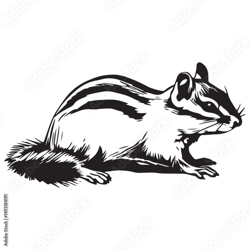 Chipmunk silhouette vector illustration