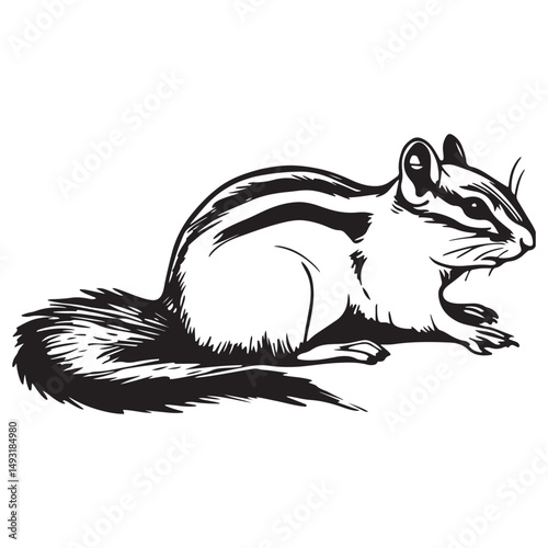 Chipmunk silhouette vector illustration