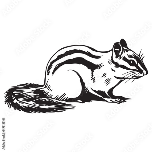 Chipmunk silhouette vector illustration
