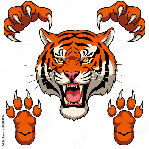 Vector illustration of a roaring tiger head with sharp fangs, alongside front and bottom views of tiger paws with claws.