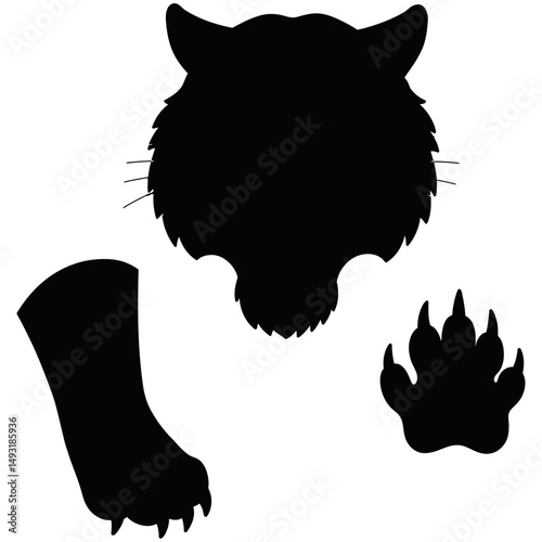 Vector silhouette of a roaring tiger head with sharp fangs, alongside front and bottom views of tiger paws with claws.