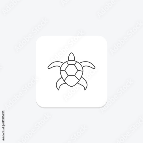 Coooter Turtle, vector, pixel perfect, illustrator file