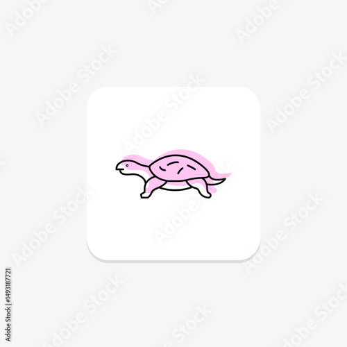Musk Turtle, vector, pixel perfect, illustrator file