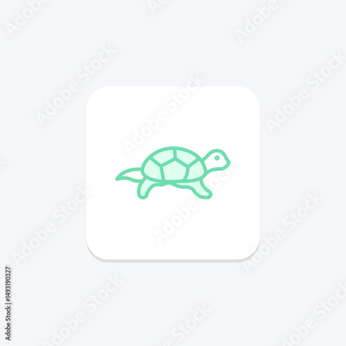 Pond Turtle, vector, pixel perfect, illustrator file