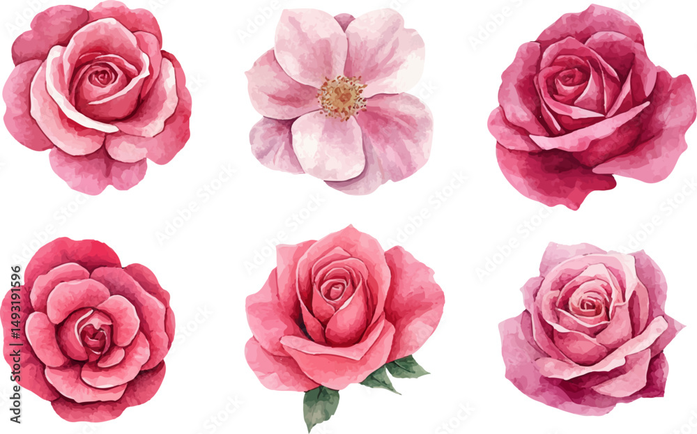 Fototapeta premium set of pink roses