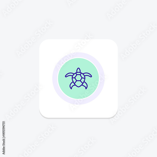Coooter Turtle, vector, pixel perfect, illustrator file