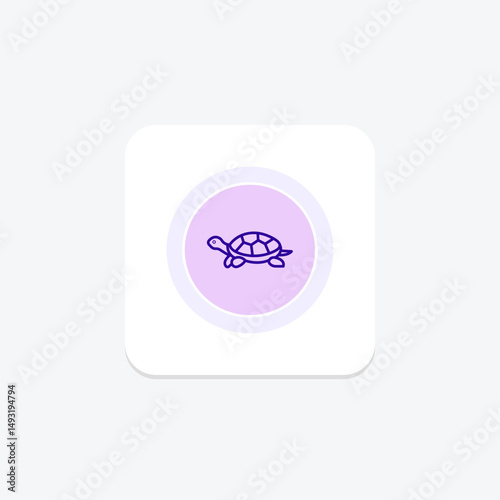 Diamondback Terrapin, vector, pixel perfect, illustrator file