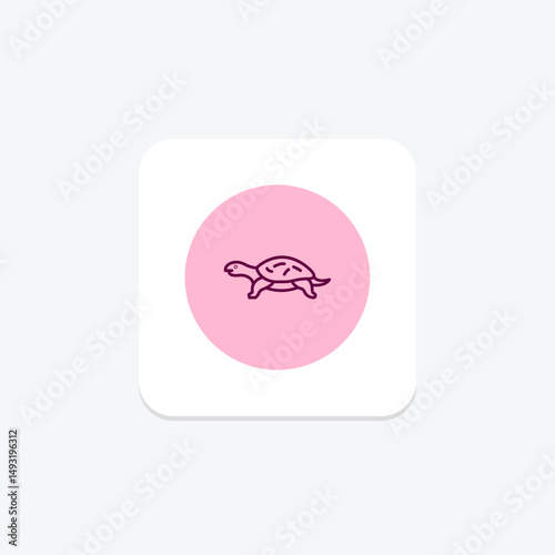 Musk Turtle, vector, pixel perfect, illustrator file