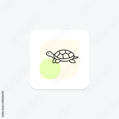 Diamondback Terrapin, vector, pixel perfect, illustrator file