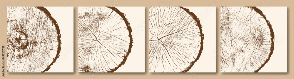 Obraz premium Tree trunk rings. Growth layers, wood texture. Vector image.