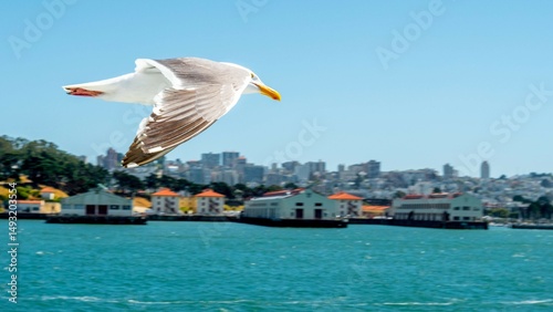 Photography WhiteFlight