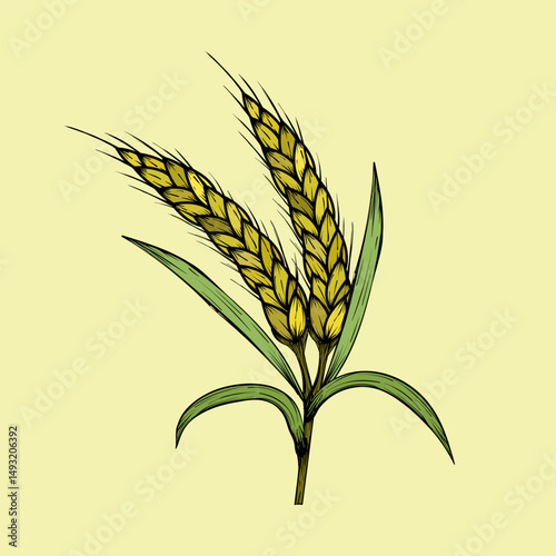 Wheat plant with golden-brown ears and green leaves