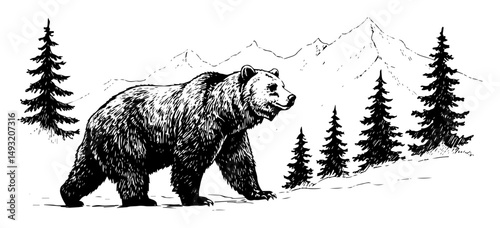 brown bear walking in mountain forest outline vector style