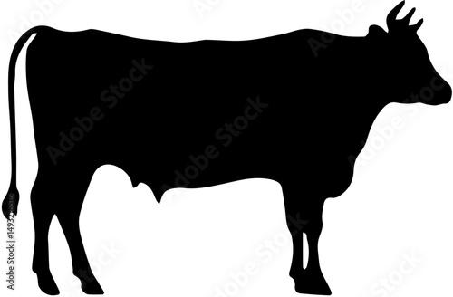 silhouette of a cow