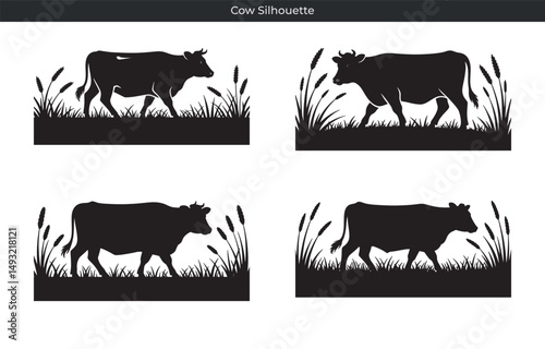 Silhouettes of cows grazing in fields of grass with wheat representing agriculture and farm