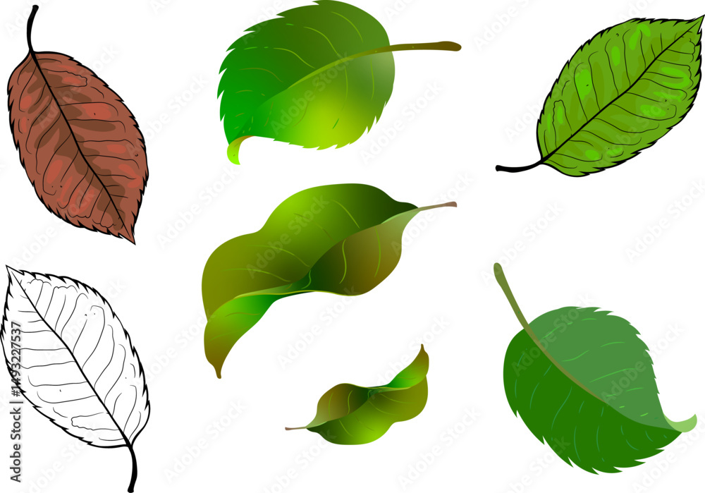 Obraz premium Apple Leaf vector illustration, green leaf, old leaf, drawing leaf. a set of apple leaves,