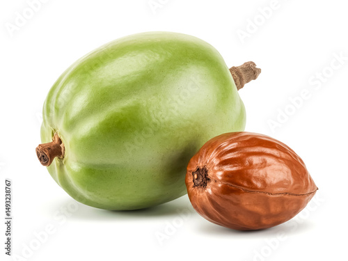 A whole shea fruit and a seed isolated on white background round green drupe botanical display