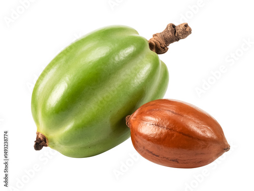 A whole shea fruit and a seed isolated on white background round green drupe botanical display