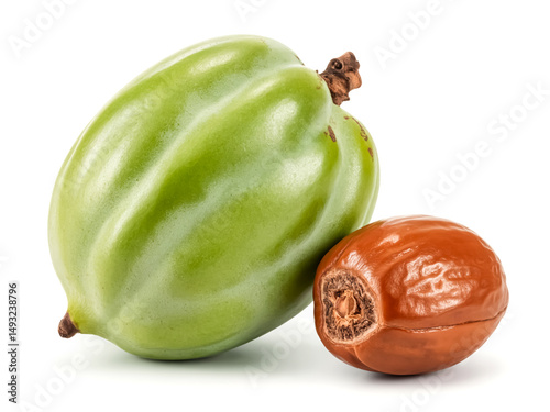 A whole shea fruit and a seed isolated on white background round green drupe botanical display