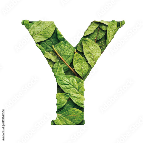 Letter Y alphabet made from fresh green leaves with detailed texture and natural vibrant appearance